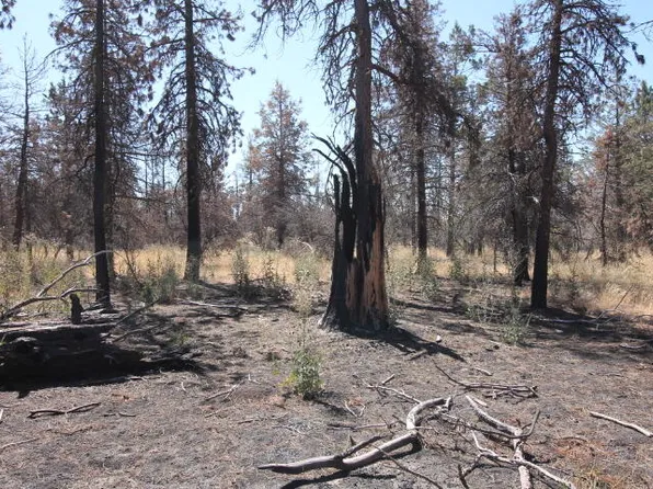 0 Cuscus Ln Lot 12, Bonanza, OR 97623