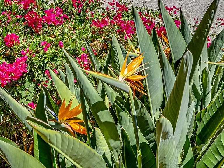 Legacy Hills at Poway 55+ — Photo 44