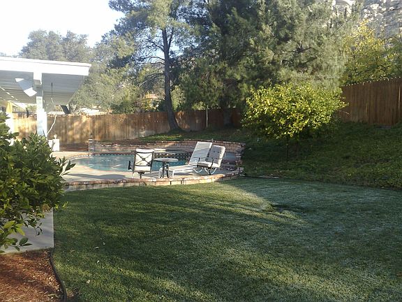 Back Yard(Pool)