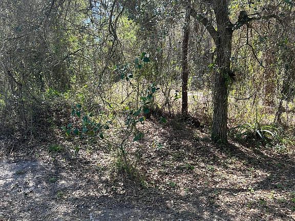 5th image of 620 S Olivo Street