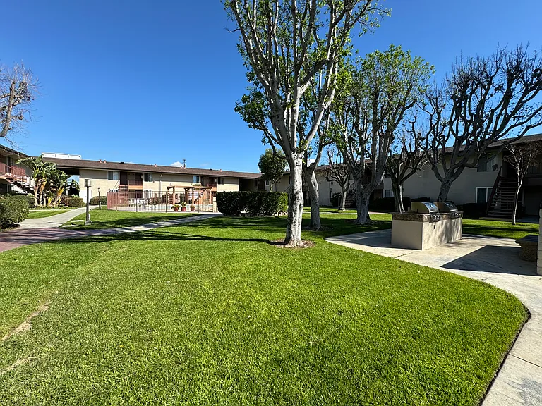 Colony Frontera — Photo 11