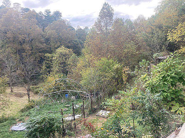 Backyard with 3 acres of app