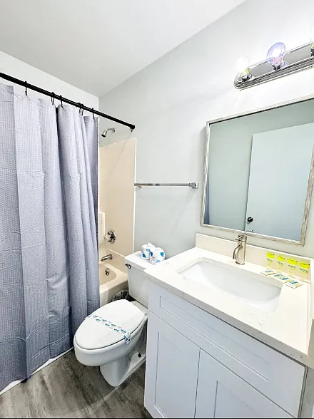 Studio, 300 sqft, $1,300 — Photo 3
