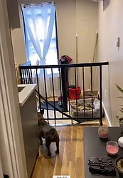 Rented by Brooklyn Group