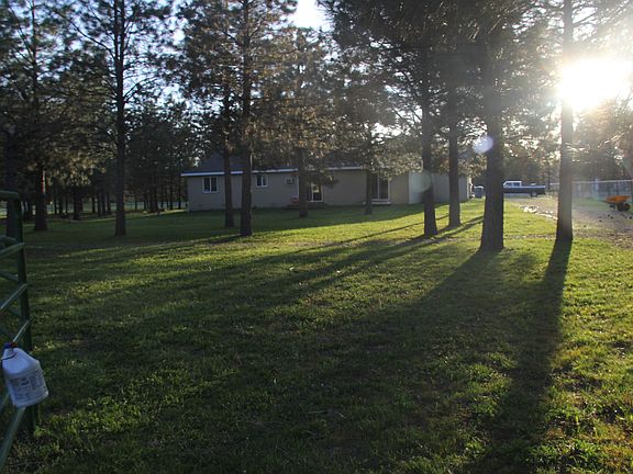 Park like back yard.