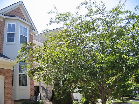 3rd image of 7675 Graysons Mill Ln