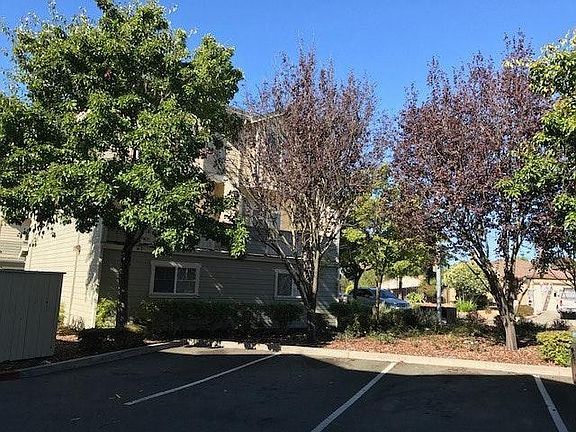 3rd image of 5083 Mozart Dr