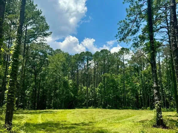 0 Lewis Ln SE, Meadville, MS 39653