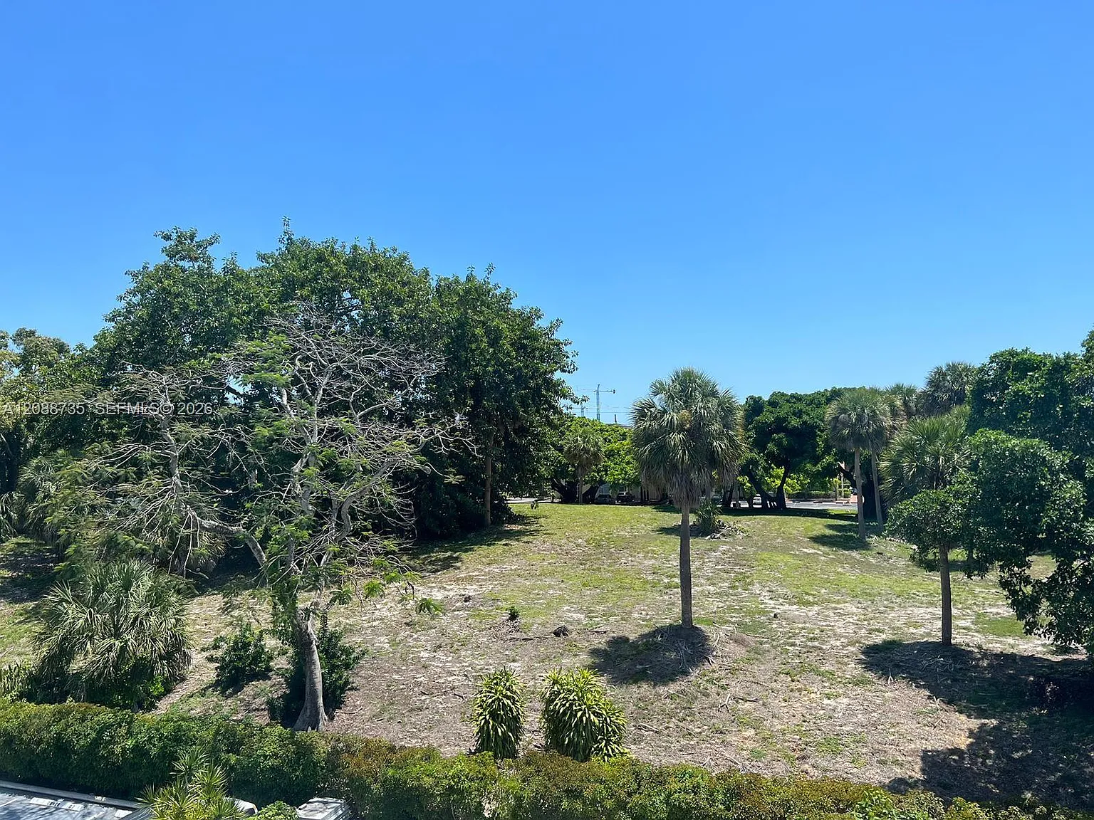 Corinthian Gardens Inc Co — Photo 4