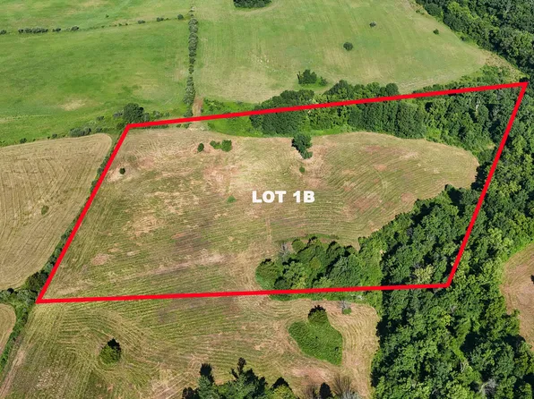 LOT 1B County Road 2580, Higbee, MO 65257
