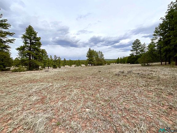 2nd image of Forest Rd #157