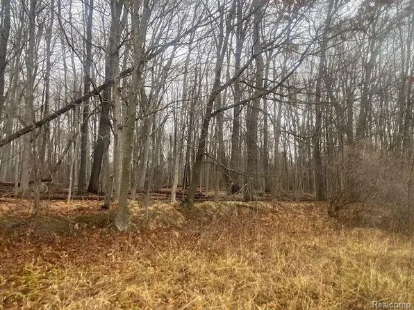 0 Rochester Rd, Leonard, MI 48367