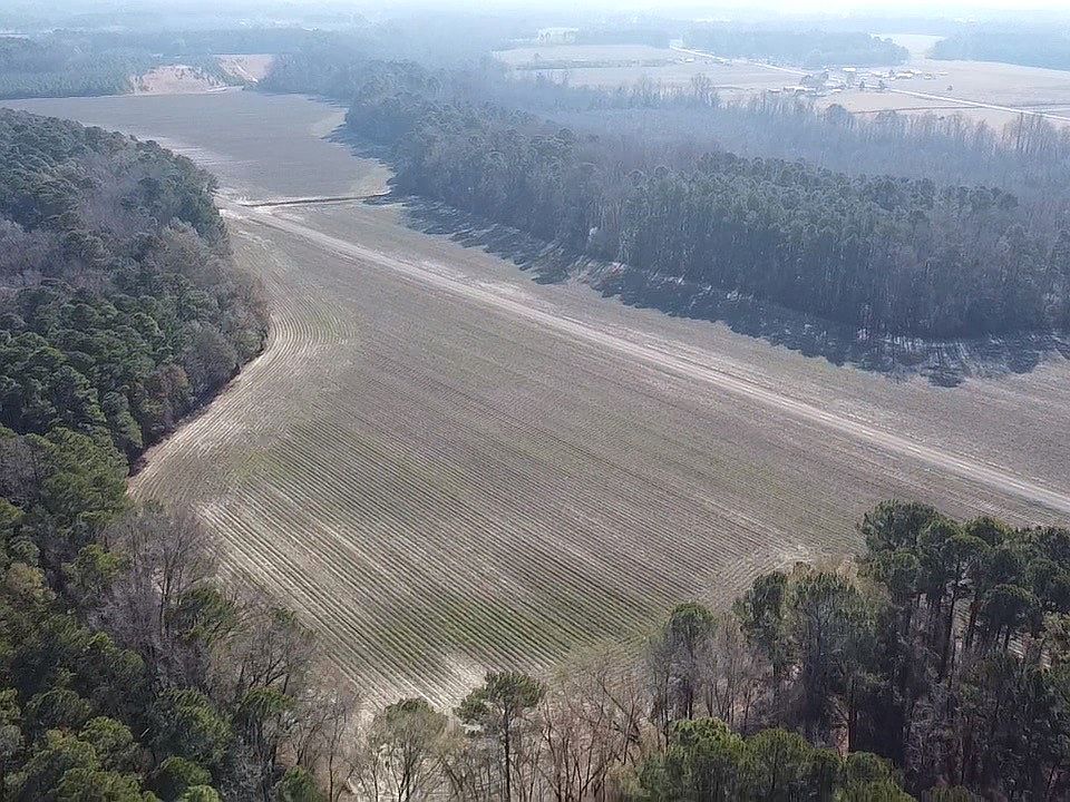 1st image of Walter Gibson Rd