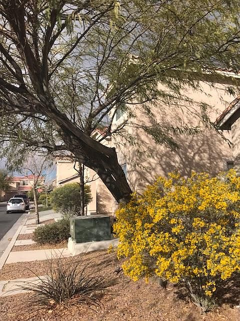 1st image of 8744 Blue Wolf St