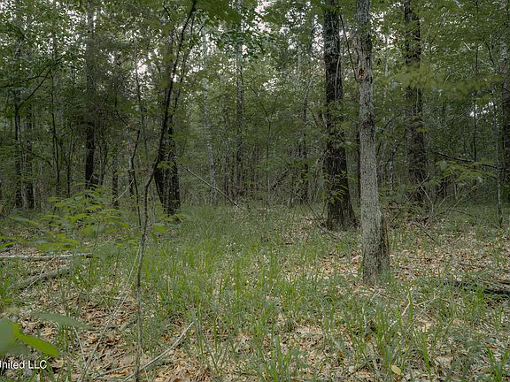 5th image of 0 Dog Pen Rd
