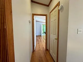 232 Frying Pan Hollow Rd — Photo 15
