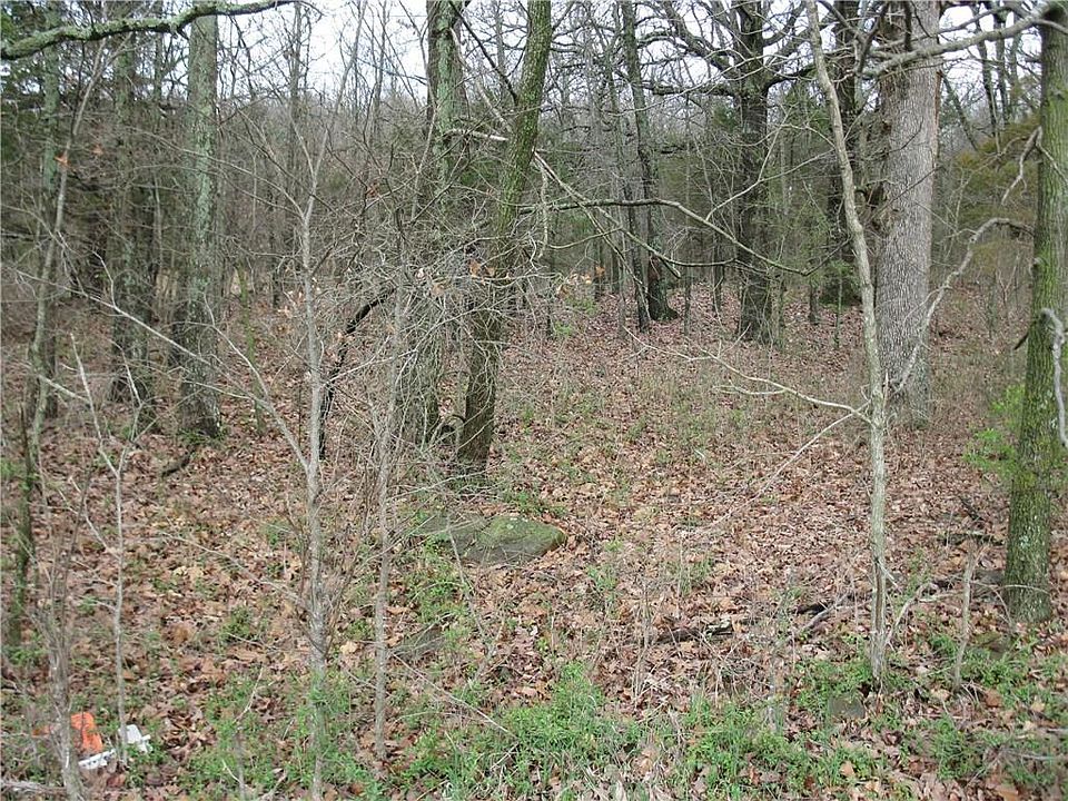 2nd image of E Monitor Rd