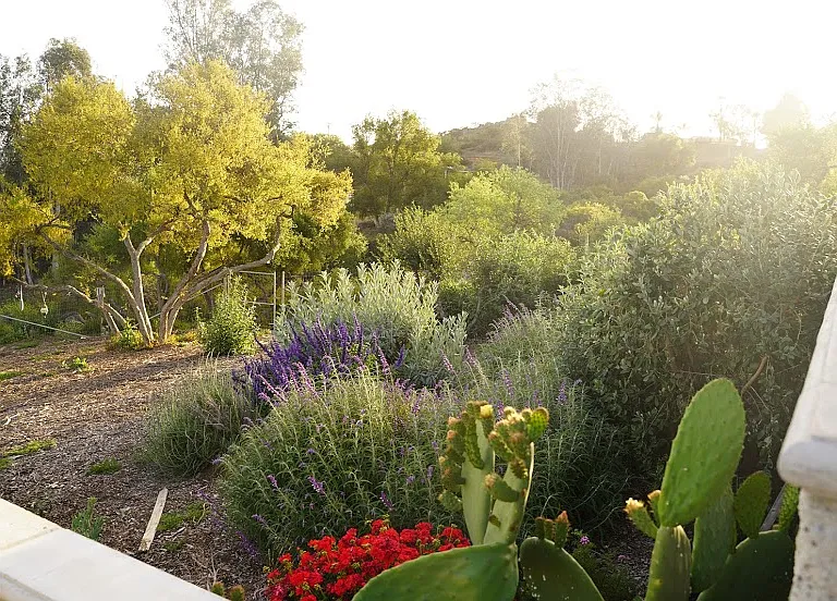 28373 Alamar Rd — Photo 2