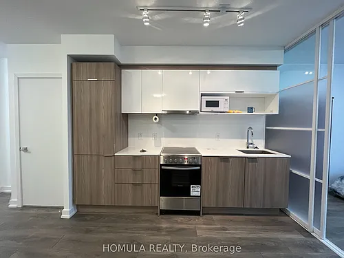 159 Wellesley St E #303 Photo 1