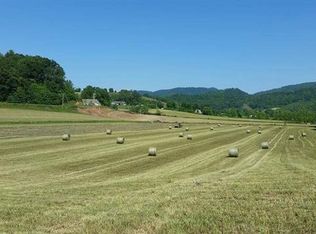 47 Long Ln, Leicester, NC 28748