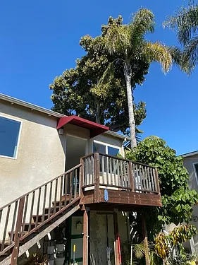 Building Photo - 1523 Marcelina Ave #C