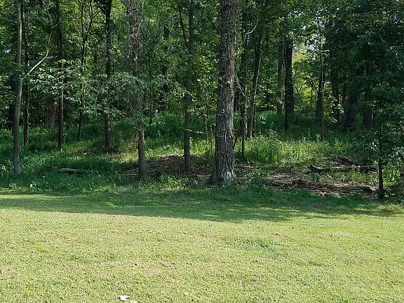 2nd image of 10901 Live Oak Ct