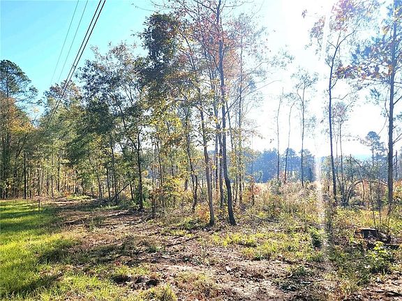 5th image of 2 Deer Creek Rd