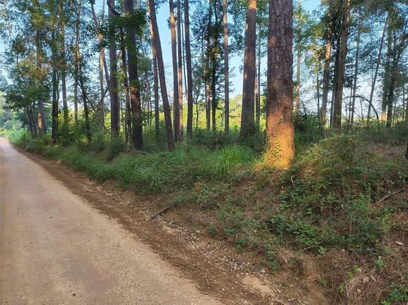 County Line Rd, Livingston, TX 77351