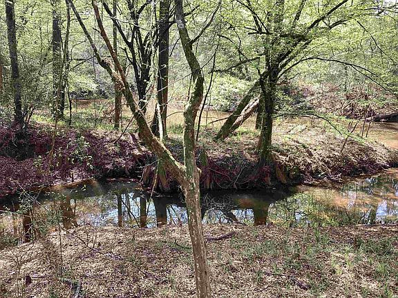 5th image of 320 County Road 82