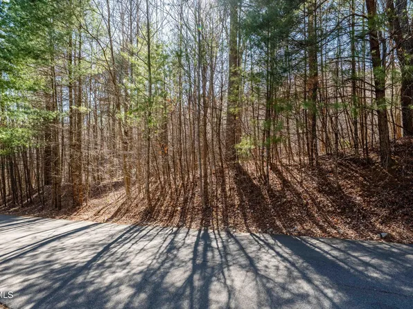 LOT 39 Bear Ridge Dr, Butler, TN 37640