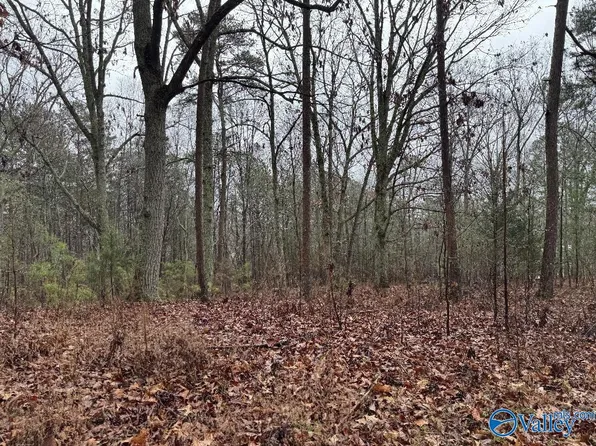 Travis Rd NW, Fort Payne, AL 35967