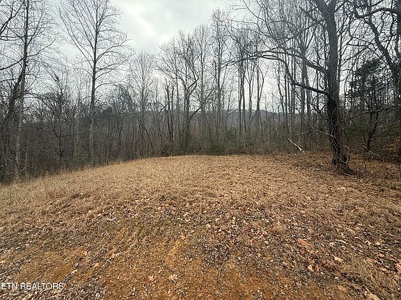 5th image of 2675 Timberlake Dr