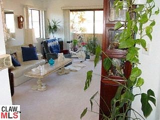 5th image of 501 Palisades Dr APT 318