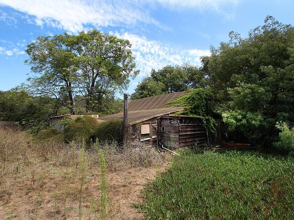 2nd image of 295 Willow Creek Dr