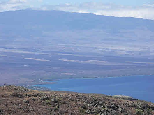 1st image of Lehiwa Pl Lot 504