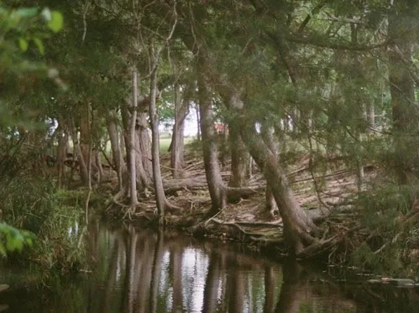 1532 County Road 250, Weimar, TX 78962