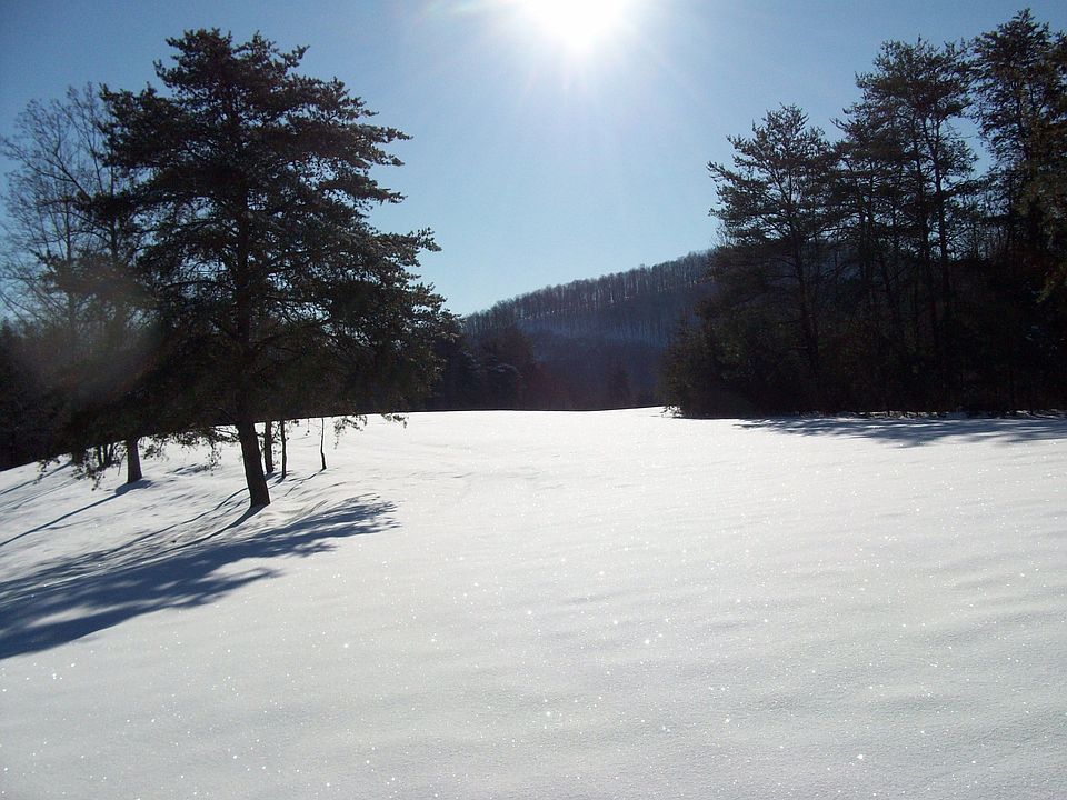 Winter view