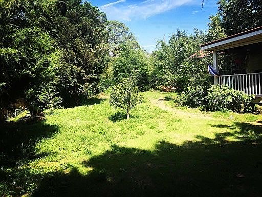 Front yard peach & pecan tre