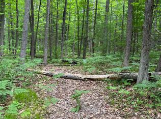 0 Clifton Dr, South Branch, MI 48761