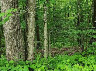 Bond Springs Rd LOT 2, West Newfield, ME 04095