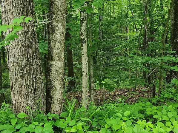 TBD Bond Springs Road Lot 2, Newfield, ME 04095