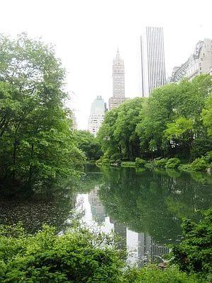 Rented by City Connections Realty | media 6