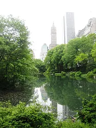 Rented by City Connections Realty