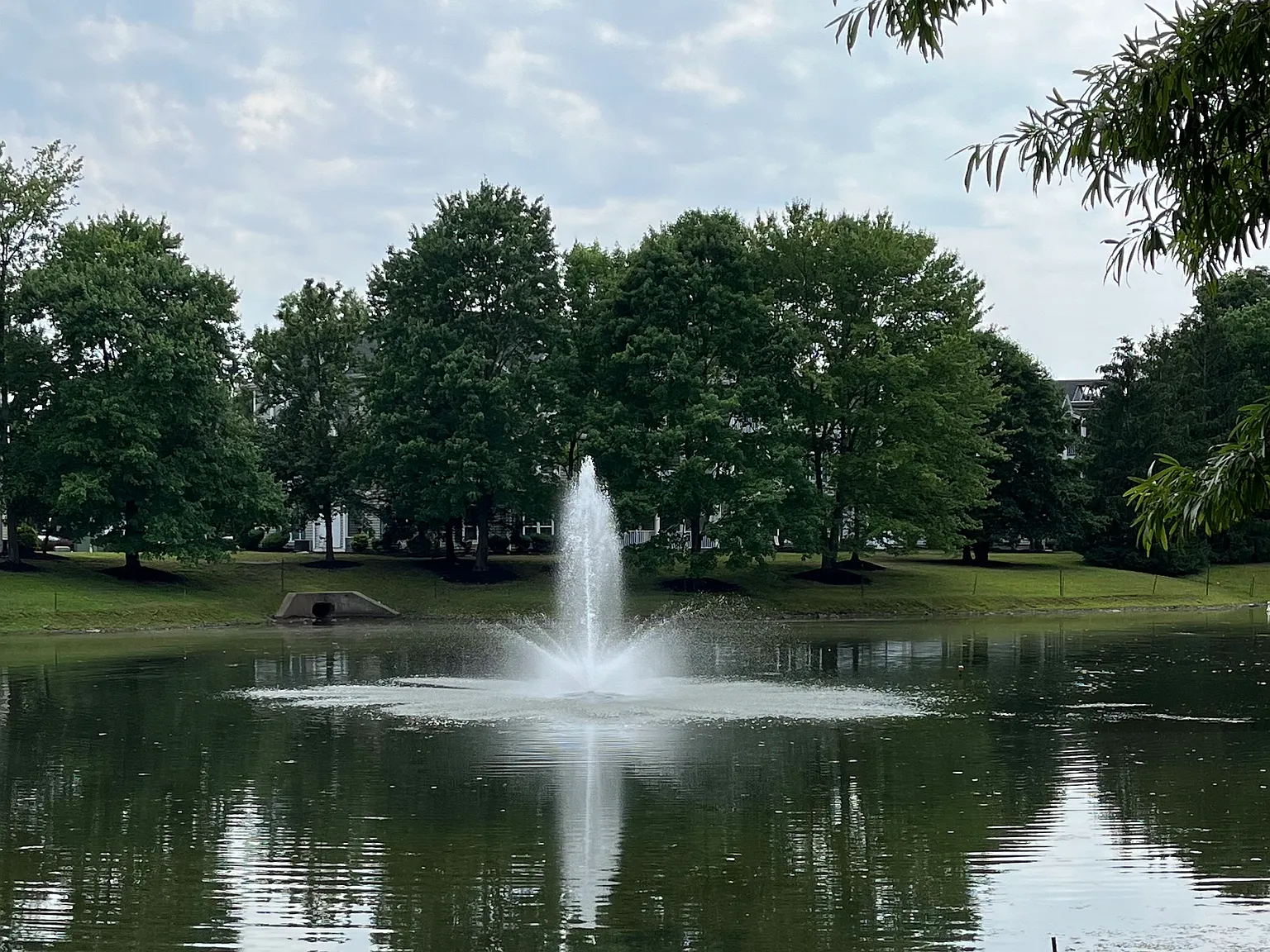 3 bed, 927 sqft, $2,750 — Photo 3