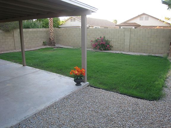 Back Yard 