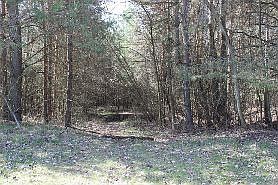 4th image of Cass River Road