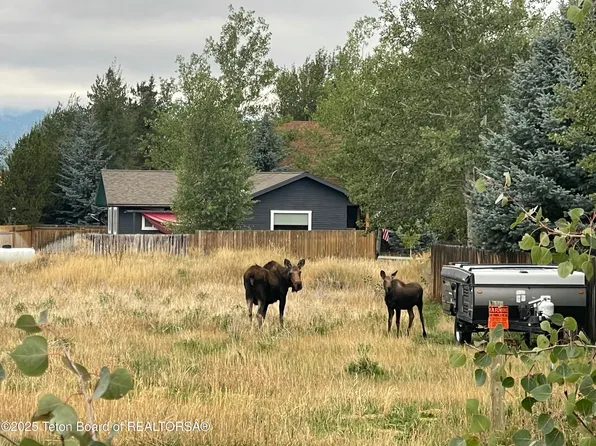 724 Buffalo Trl, Driggs, ID 83422
