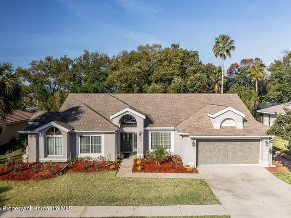 1269 Masada Ln, Spring Hill, FL 34608