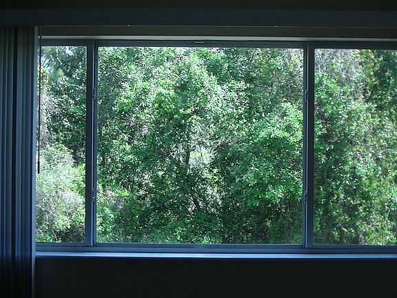 4th image of 1304 Standridge Dr