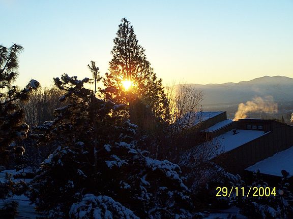 Sun through the trees off the deck